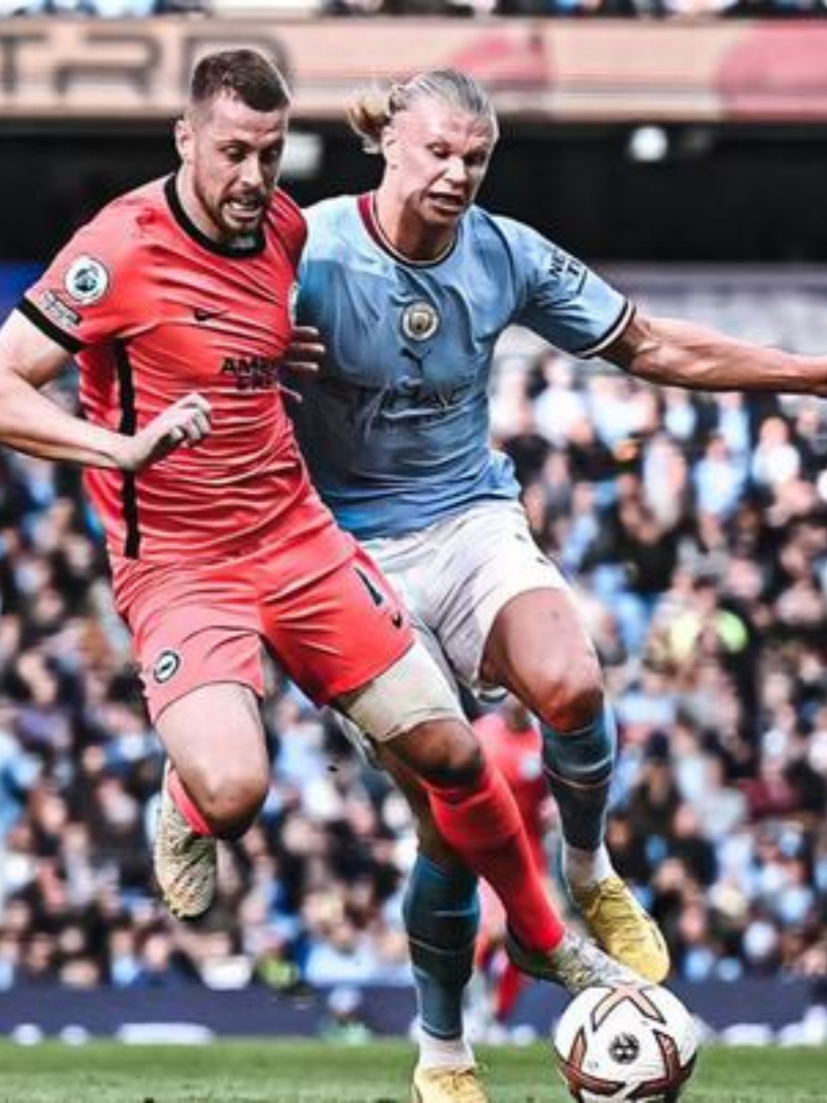 开云主页-关于莱万多夫斯基迎来三赛季出色发挥，切尔西观众热烈欢呼！全场沸腾不已的信息